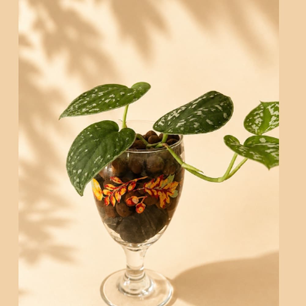 Styled LECA plant in a patterned glass vessel